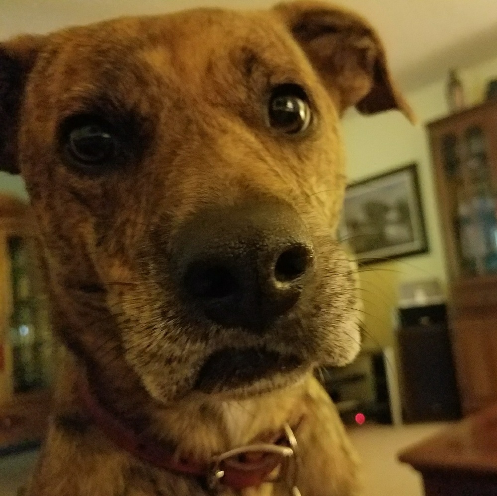 Meet your Posher, Jennifer